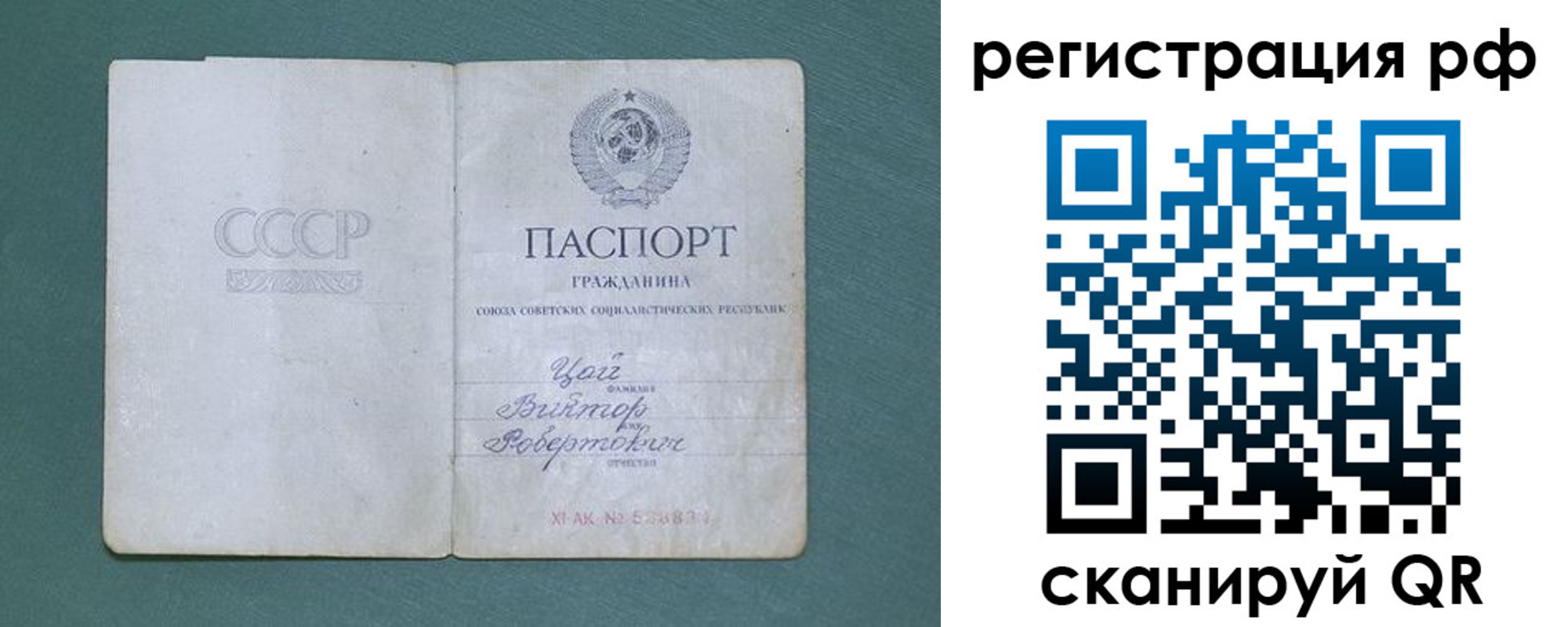 где прописаться в Коврове